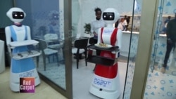 Kenya restaurant garners attention for experimenting with robots 