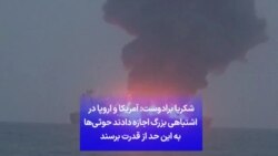 شکریا برادوست: آمریکا و اروپا در اشتباهی بزرگ اجازه دادند حوثی‌ها به این حد از قدرت برسند