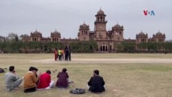 د پي ايس ايل، افغان مينه وال
