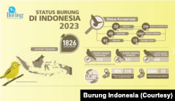 Grafik Status Burung di Indonesia 2023. (Foto: Burung Indonesia)