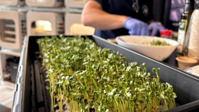 NASA Supports New Methods to Grow Food in Space