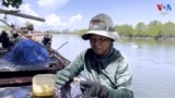 KV TV Kampot Port - People Livelihood Thumbnail