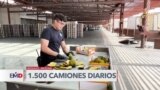 La incesante búsqueda de drogas en cargamentos de frutas en Arizona