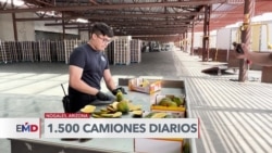 La incesante búsqueda de drogas en cargamentos de frutas en Arizona