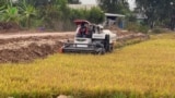 မြန်မာပြည်တွင်းက လယ်ယာလုပ်ငန်းခွင်တခု