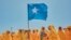 FILE - Students wave a Somali flag during a demonstration in support of Somalia's government following the port deal signed between Ethiopia and the breakaway region of Somaliland at Eng Yariisow Stadium in Mogadishu on Jan. 3, 2024.