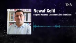 لێدوانی نەواف خەلیل توێژەری ناوەندی لێکۆڵینەوەی کورد لە ئەڵمانیا سەبارەت بە ڕۆلی کیسینجەر لەسەر کورد