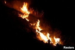Čovek pokušava da ugasi plamen tokom šumskog požara nedaleko od sicilijanskog sela Altofonte, blizu Palerma, Italija, 26. jula 2023.
