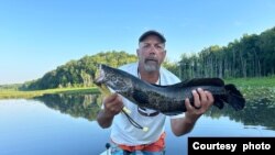 El pescador Mike Sielicki sostiene un pez Cabeza de serpiente del norte, que capturó en Potomac Creek en Fredericksburg, Virginia. (Foto cortesía del entrevistado).