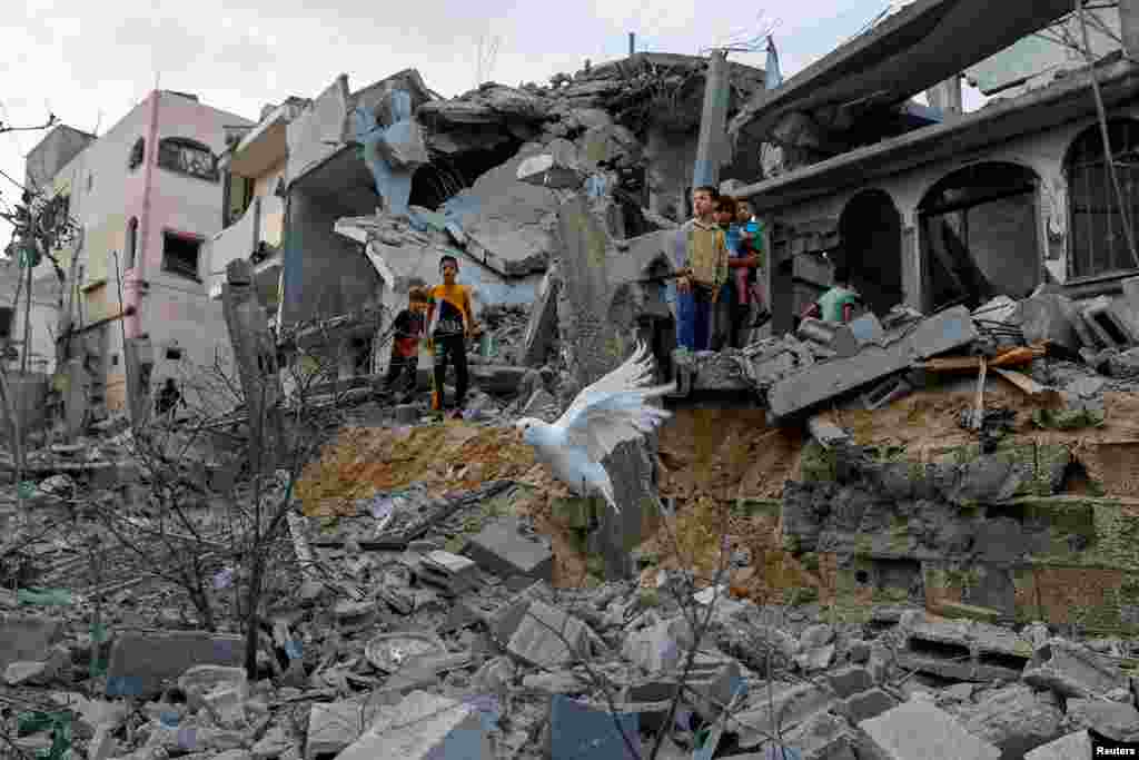 A dove flies over the debris of houses destroyed in Israeli strikes in Khan Younis in the southern Gaza Strip.