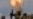 Israel Strikes Gaza After Killing of Senior Hamas Leader