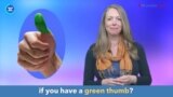 English in a Minute: Green Thumb