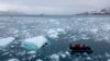 Para penyelam dari Angkatan Laut Kolombia mengambil sampel di Pulau Livingston, Kepulauan South Shetlands, Antarktika, 27 Januari 2024. (Foto: Juan Barreto/AFP)