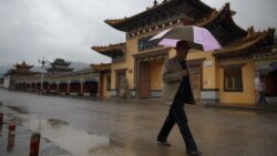 མཚོ་སྔོན་ཁུལ་དུ་ཆར་ཆུ་བཟང་བའི་རྐྱེན་གྱིས་ལོ་ལེགས་བྱུང་ཡོད་པ། 