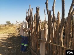 Ofuya izimvu lokunye ubuka isibaya sakhe eNkayi, Matabeleland North, Zimbabwe