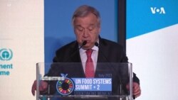 UN Chief Urges Russia to Revive Grain Deal