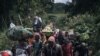 Bavandi bazali kokima mboka Butalongola mpe Kilambo po na bitumba na Nord-Kivu 