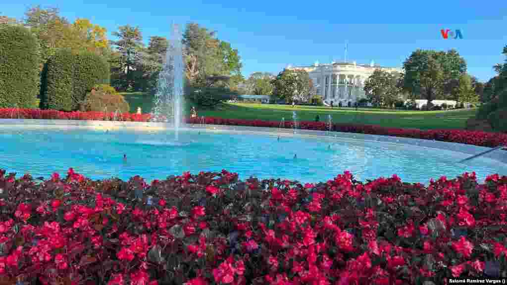 Los jardines de la Casa Blanca abren al público dos veces al año, en otoño y primavera, cuando florece cada área sembrada. El área principal a visitar es el Jardín Sur, con una gran fuente rodeada de flores.