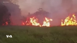 Li Bolîvya Şewatên Daristanên Amazonê