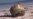 Mystery Object That Washed Up on Australian Coast Could Be Space Junk, Officials Say