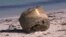 In this image made from video, a cylindrical object is seen on a beach in Green Head, Australia, July 17, 2023.