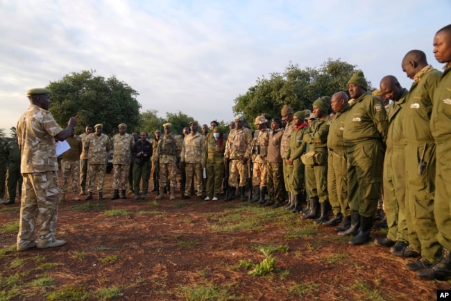 Kenya Wildlife Service rangers hold a briefing before injecting drugs to dart 21 endangered black rhinos in Nairobi National Park, Kenya Tuesday, Jan. 16, 2024. (AP Photo/Brian Inganga)