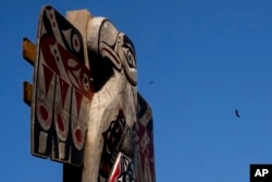 FILE - A pair of eagles soar above a totem pole near the Quinault River, May 22, 2024, on the tribe's reservation in Taholah, Wash.