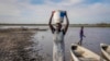 FILE -A woman carries water on her head from a swamp, with much of the area having no access to clean drinking water due to years of unprecedented flooding, in Canal-Pigi County, South Sudan, May 4, 2023.