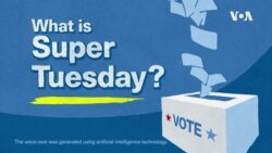 VOA Explainer: What is Super Tuesday