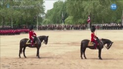 Kral III. Charles ilk resmi doğum gününü kutladı