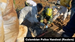 A specialized rescue group from the Colombian Police carries the body of a deceased person during an operation to rescue survivors of a landslide in Choco, Colombia, Jan. 13, 2024. (Colombian Police/Handout via Reuters)