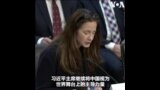 美国家情报总监作证参院听证会 就中国内外情势进行评估
