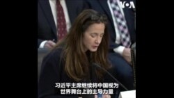 美国家情报总监作证参院听证会 就中国内外情势进行评估