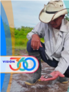 Thumbnail V360