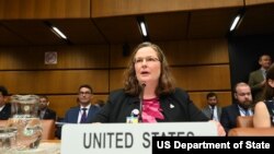 로라 홀게이트 국제원자력기구(IAEA) 주재 미국 대사