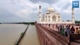 তাজমহলের বাইরের সীমানায় পৌঁছে গেছে বন্যার পানি