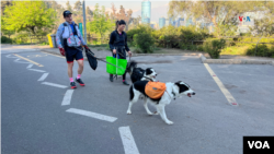 El amor a los animales y el respeto al medio ambiente son la premisa de Gonzalo Chiang, un activista chileno comprometido con la limpieza de su ciudad.