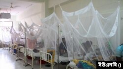 ঢাকায় ডেঙ্গু রোগীর চাপ বাড়ছে—হাসপাতালে শয্যা বাড়িয়েও পরিস্থিতি সামাল দেওয়া যাচ্ছে না