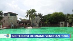 Venetian Pool: un oasis de 100 años escondido en Miami