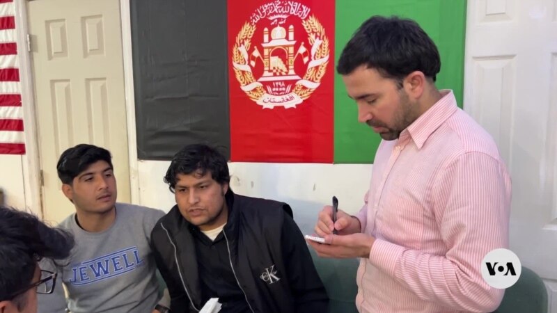 Albany's Afghan Americans Help Afghan Refugees Resettle