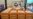 Avian Flu Outbreaks Roil US Poultry Industry