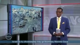 Qubanaha VOA, Oct 10, 2023.