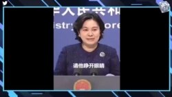 【美国热搜】中共倡导失业青年做“全职儿女”；习近平最怕的一组数字；看外媒如何吃秦刚 傅晓田的瓜；准点下班成了罪过；社区工作者半年没有工资；毛泽东自己封自己的官；安全套还是鸭眼球膜？华春莹经典语录；经济下行，银行直播卖贷款