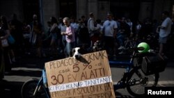 A dog holds a sign during a demonstration against the Hungarian government&#39;s Status Law, which may increase teachers&#39; work requirements and restrict their independence in Budapest, Hungary. The placard reads: &quot;Only 5% of teachers are under 30. Who will be teaching tomorrow?&quot;