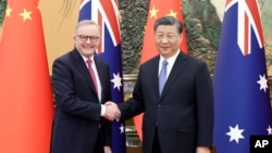 Thủ tướng Úc Anthony Albanese gặp Chủ tịch Trung Quốc Tập Cận Bình tại Đại lễ đường nhân dân ở thủ đô Bắc Kinh hôm 6/11