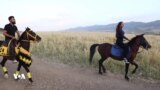 ئەسپسوار لە هەرێمی کوردستان‎‎ 