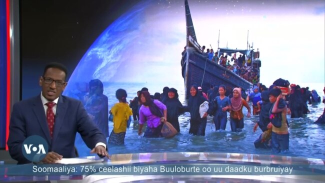 Boqollaal Rohingya ah oo badda sabbeynaya oo laga baqayo in ay dhintaan