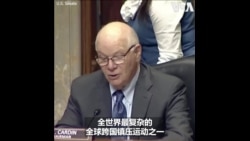 代表黎智英的英国御用大律师在美国国会说明北京跨国镇压行为
