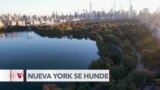 Expertos advierten que edificios pesados están hundiendo a Nueva York