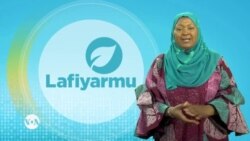 Ma’aikatan jinya su ne ginshikin ayyukan lafiya, a wasu al’ummomin,, sune suke aiki a madadin likitoci, duk da nasarori amma akwai kalubale